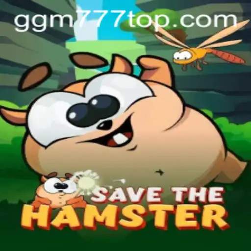 Descubra o Mundo Animado de SavetheHamster